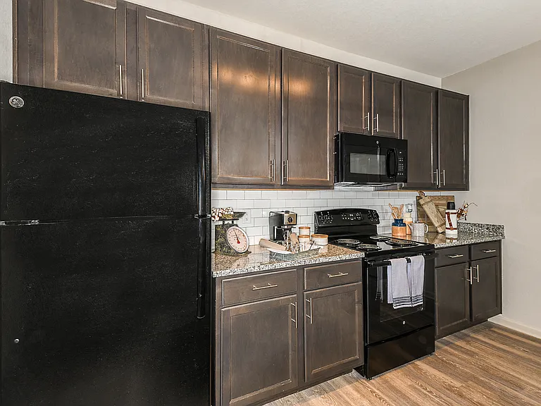 Dunedin Commons Apartments — Photo 5