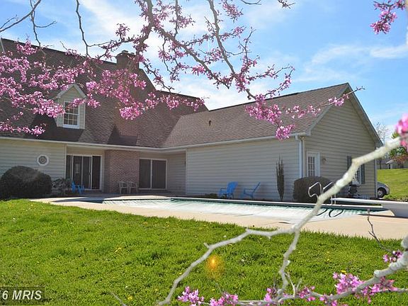 Spectacular back yard with inground pool