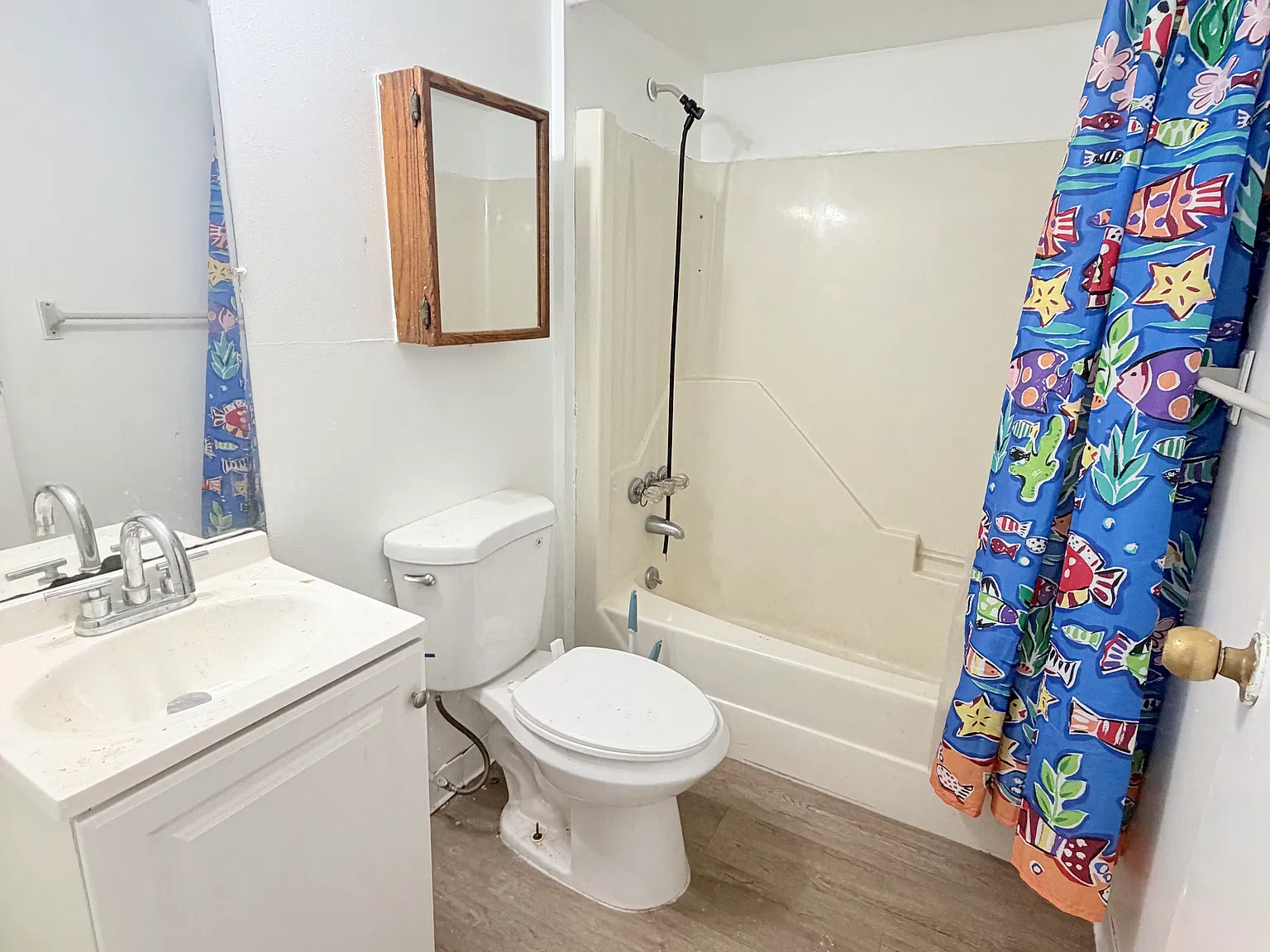 1 bed, $900 — Photo 4