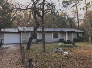 2994 Alpaca Ave, Middleburg, FL 32068