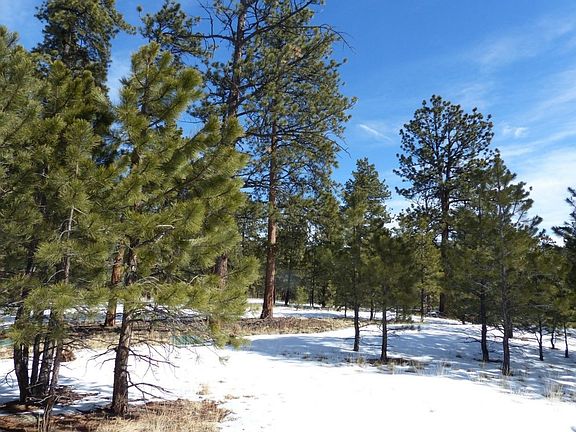 2nd image of 124 Kiowa Cir