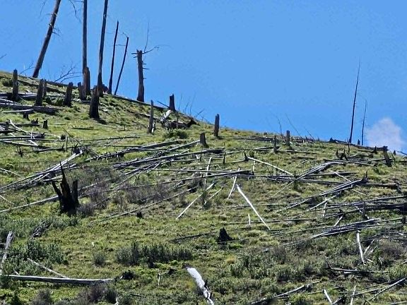 17th image of Nhn Blind Creek Draw Rd
