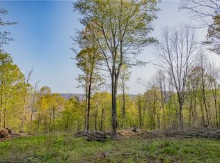 0 Davis Ln #8, Hamden, NY 13782