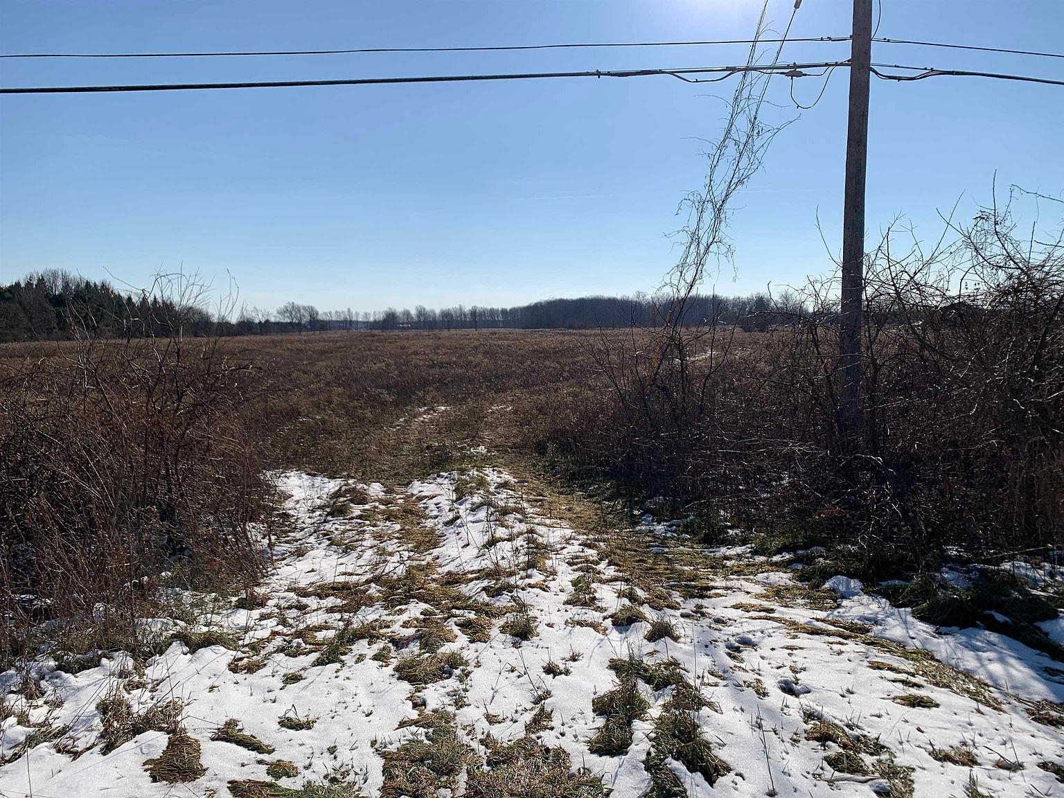 11000 Brady Rd, Chesaning, MI 48616 Zillow