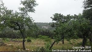 2nd image of 8646 Terra Dale