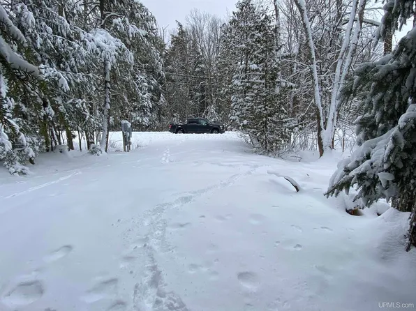 Tbd 4th St, Manistique, MI 49854