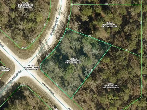 16008 Cave Swallow Rd #9, Brooksville, FL 34614