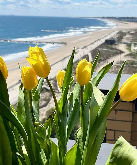 The Bloom of Rockaway Oceanfront Coast