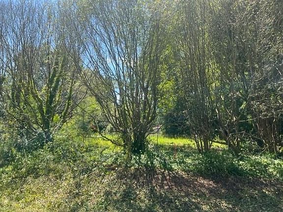 4th image of LOT 4 Charles St Lot 4