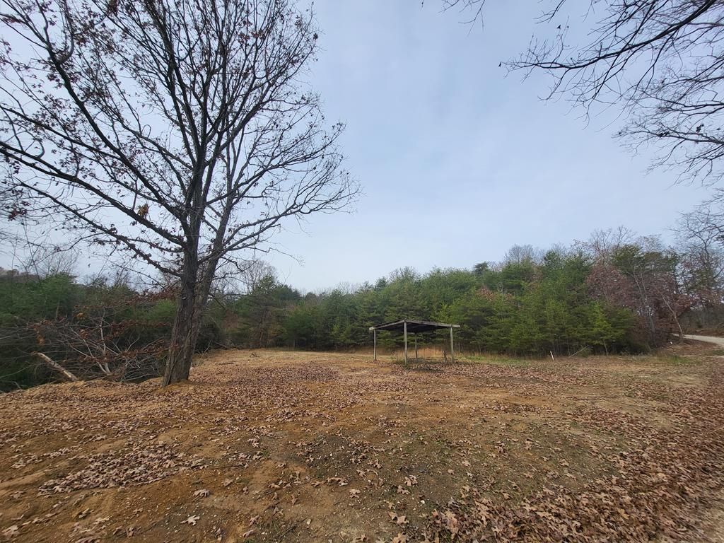 Real estate listing image