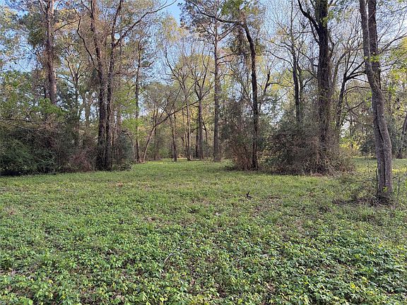 4th image of County Road 2284 Freddie Rice Rd