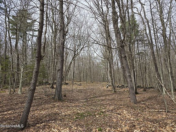 3rd image of Magee Rd