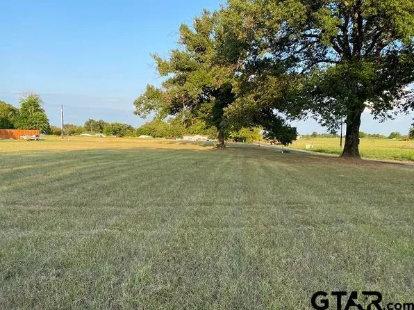 Tbd Fm 17, Alba, TX 75410