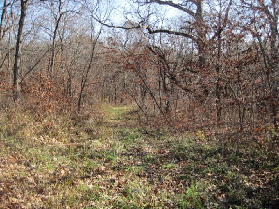 1st image of 837 County Road 550 N