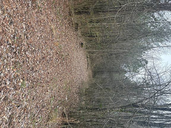 4th image of 0 Old Fayetteville Rd