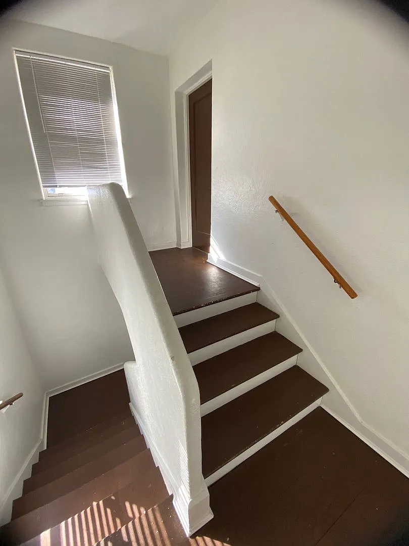 Copper — Photo 3