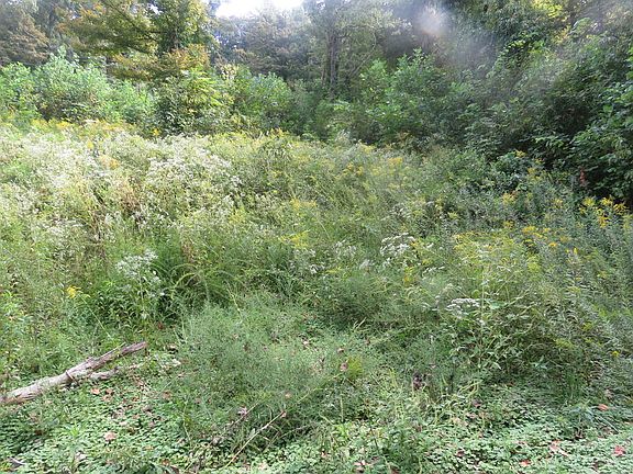 3rd image of 0 Watauga Rd
