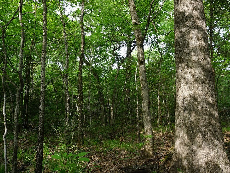 1st image of Tbd2 County Rd #1200