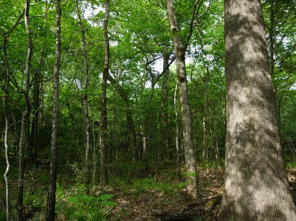Tbd2 County Rd #1200, Malakoff, TX 75148