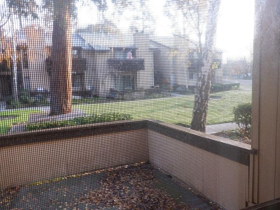 4th image of 1090 Bird Ave Unit 103