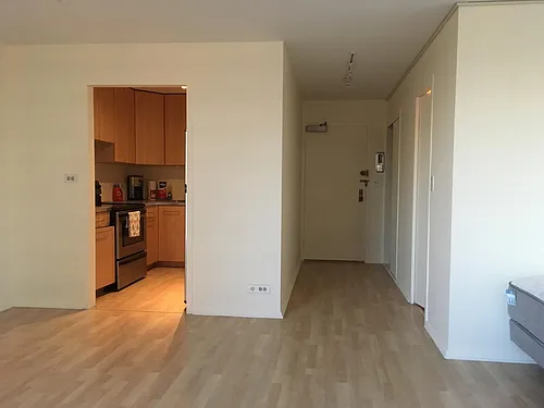 3550 N Lake Shore Dr Photo 1