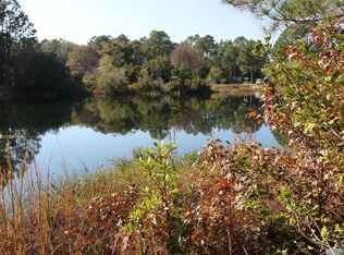 101 Demeries Lake Ln, Richmond Hill, GA 31324