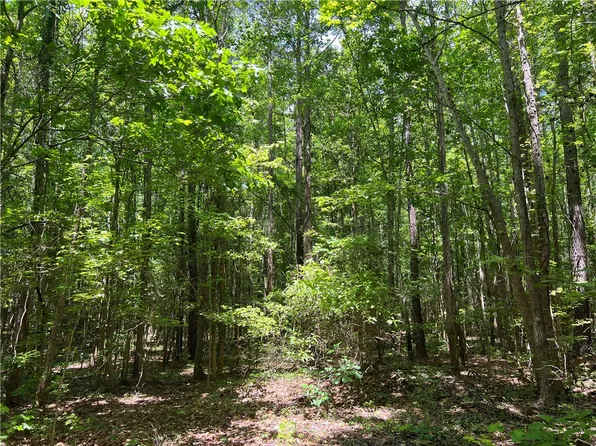 0 State Highway 39, Chappells, SC 29037