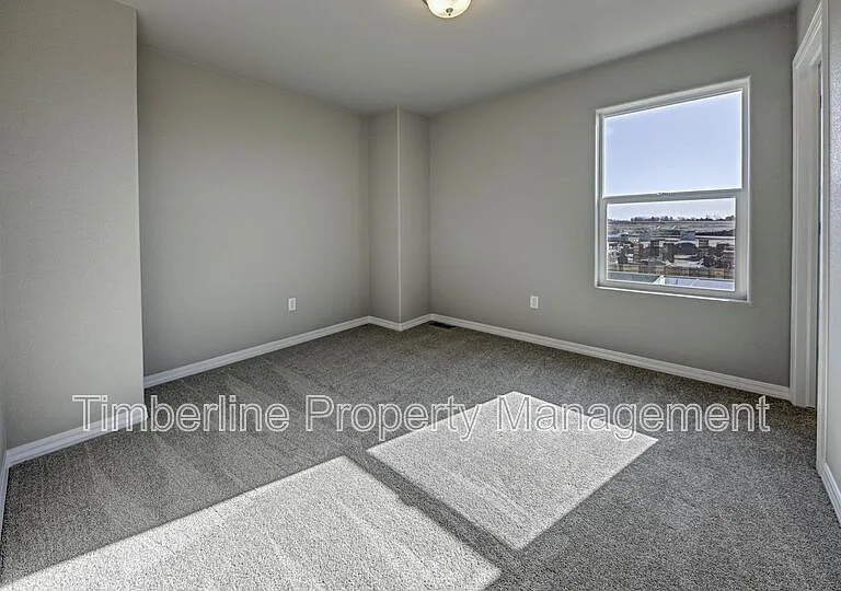 7824 Woodmen Center Hts — Photo 9
