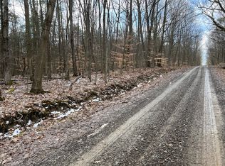 Coyle Hill Rd, Scio, NY 14880