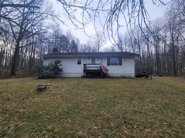 172 Cornell Hollow Rd, Endicott, NY 13760