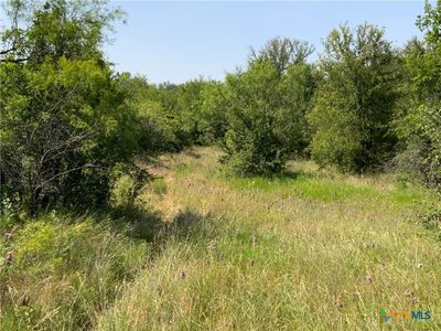 48 Tatanka Trl, Gustine, TX, 76455