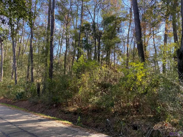 Gaylord Rd, Walker, LA 70785