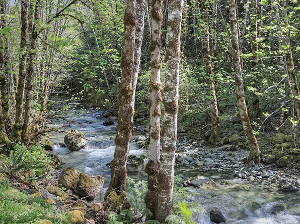 9703 Deer Creek Rd, Selma, OR 97538