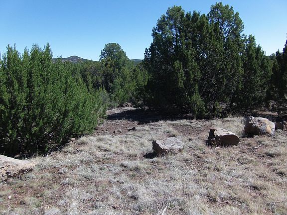 4th image of N3065 Tbd N3065