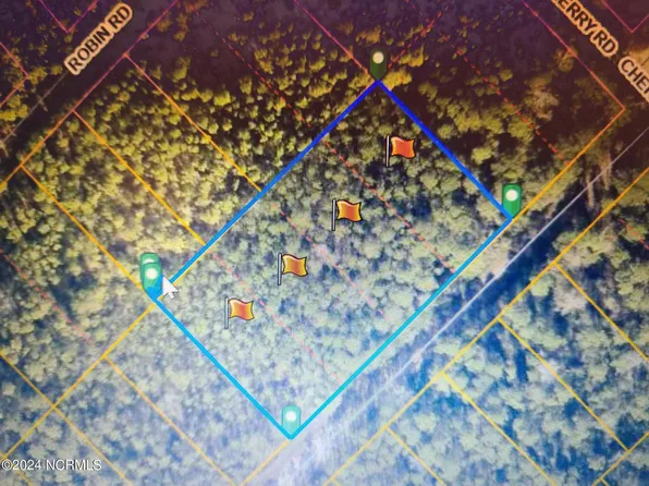 1561 Beech Road, Boiling Spring Lakes, NC 28461