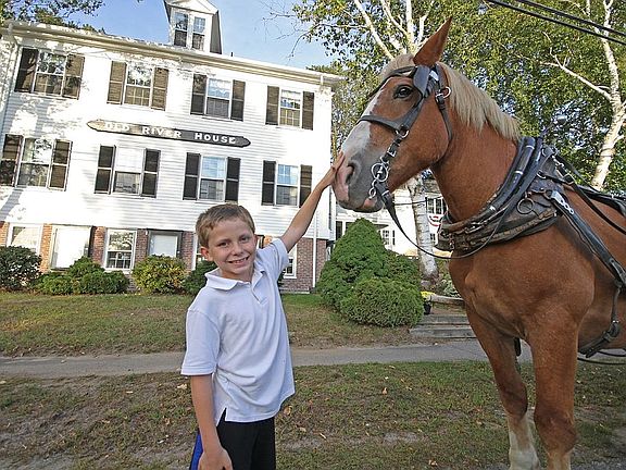 Horse Drawn Carriage at the Old River House
