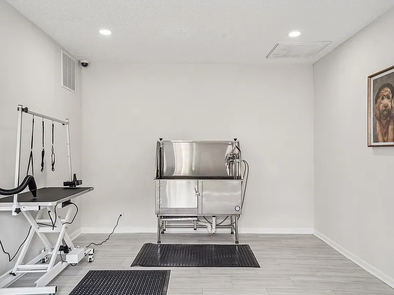 Pet Grooming Station