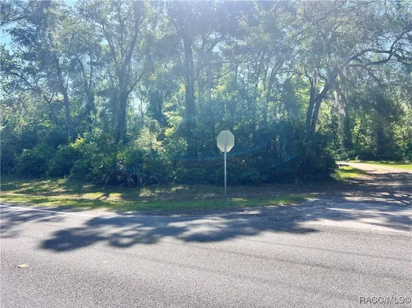 9781 W Pomelo Ln, Crystal River, FL 34428