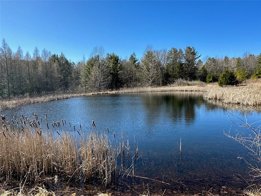 67 Monkey Run Rd, Port Crane, NY 13833 Zillow