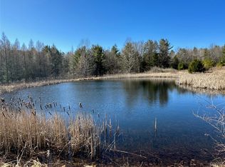 67 Monkey Run Rd, Port Crane, NY 13833