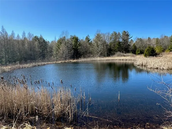 67 Monkey Run Rd, Port Crane, NY 13833