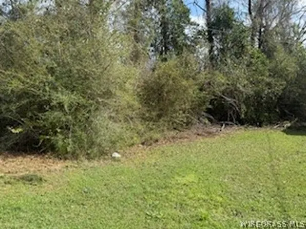 1436 Claxton Ave N, Elba, AL 36323