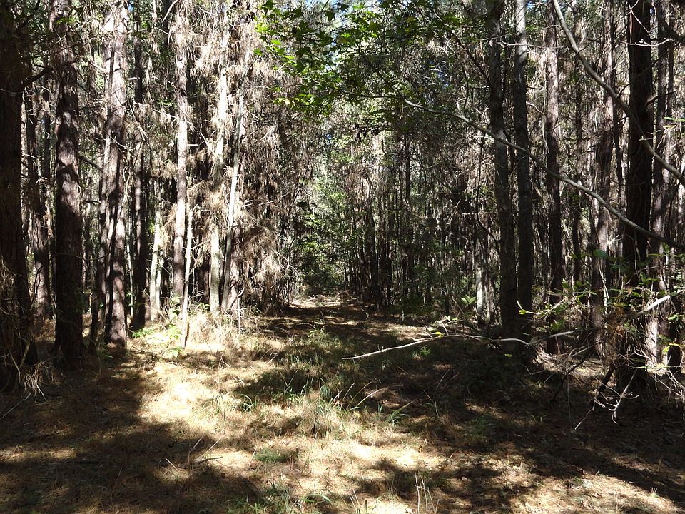 1st image of W Fm 1662