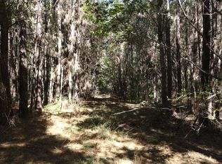 W Fm 1662, Laneville, TX 75667