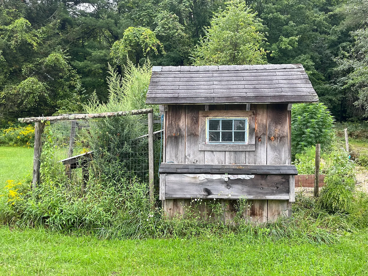 3 bed, 1800 sqft, $2,950 — Photo 3