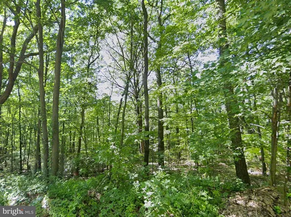 0 Weaver Woods Rd, Saxton, PA 16678