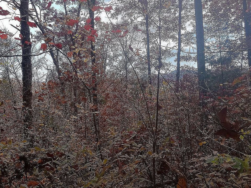 1st image of 503 Carson Woods Rd