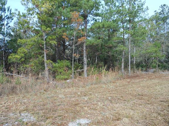 5th image of 8912 County Road 136a