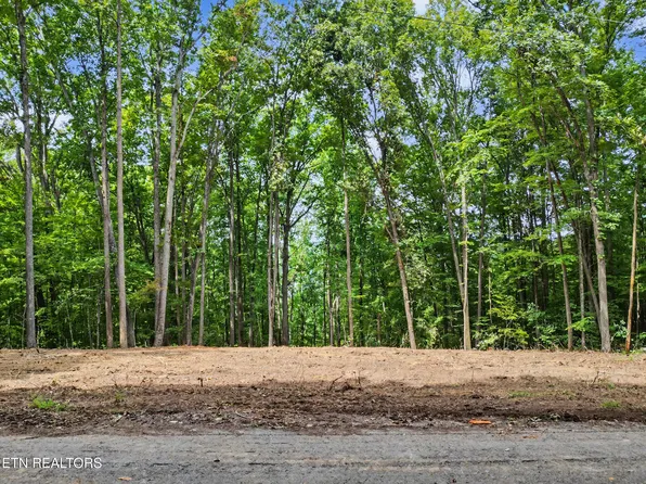 Tumbling Run Ests, Maynardville, TN 37807