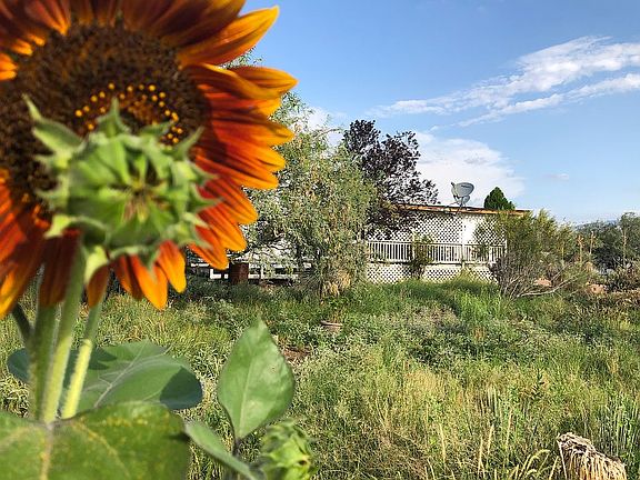 Shaded East Front deck